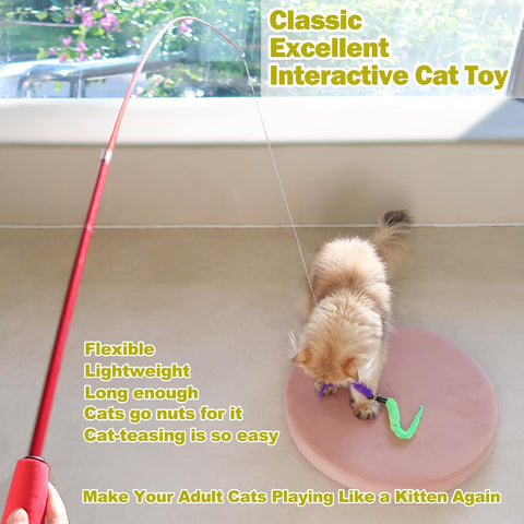 MeoHui Cat Toys for Indoor Cats, Interactive Cat Toy 2PCS Retractable Wand Toy and 9PCS Cat Feather Toys Refills, Funny Kitten Toys Cat Fishing Pole Toy for Bored Indoor Cats Chase and Exercise