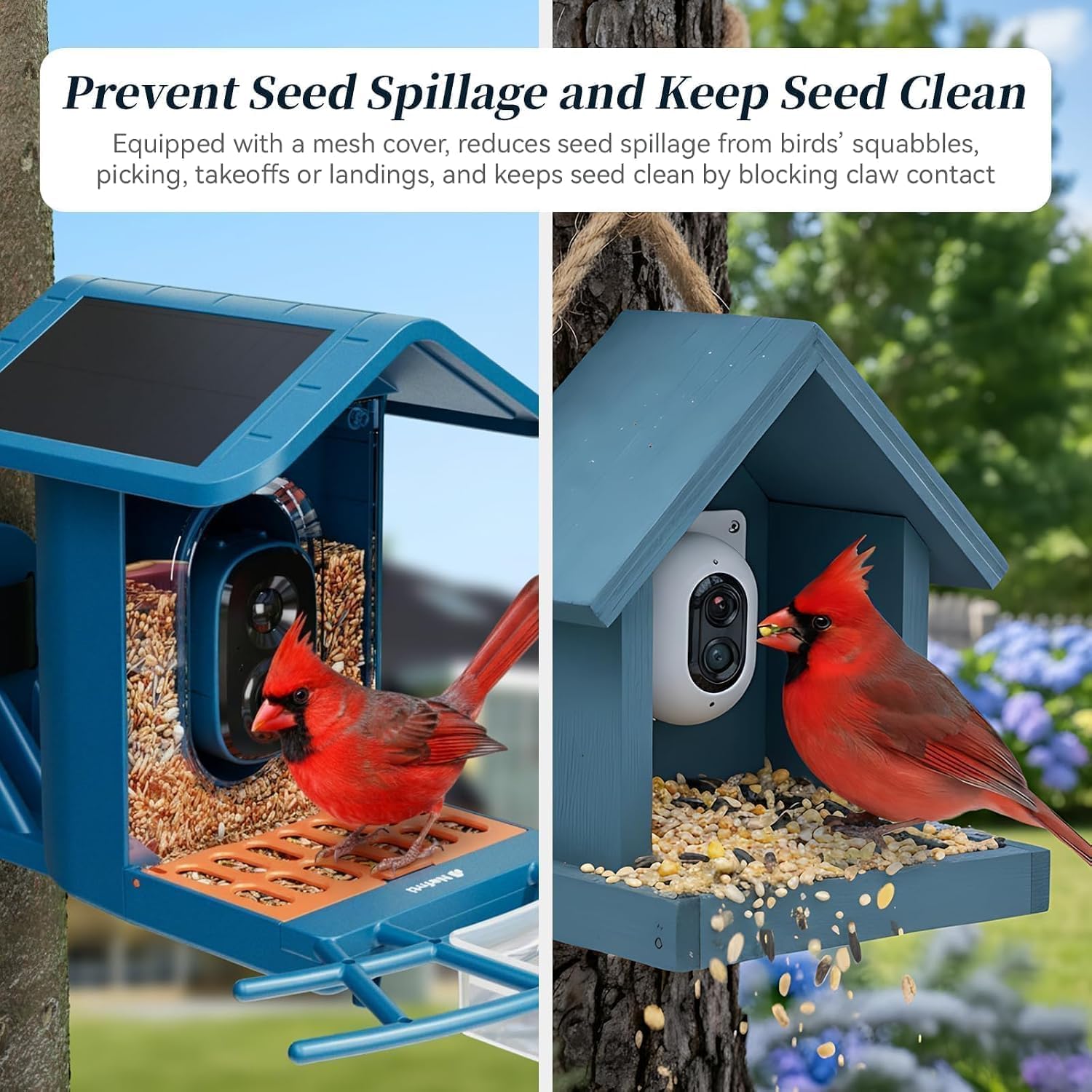 Smart Bird Feeder with Camera 5GHz WiFi Solar Powered, AI Bird ID