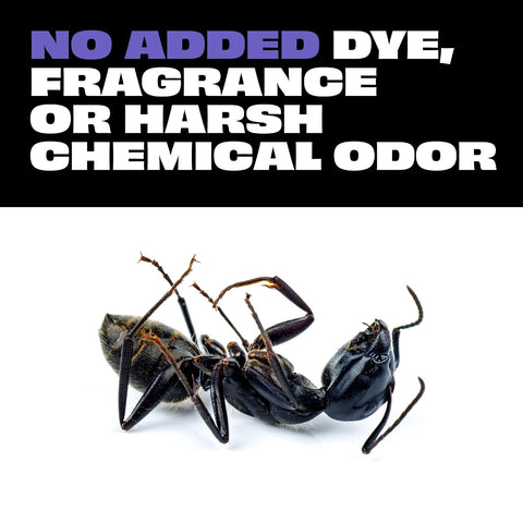 STEM Plant-Based Bug Spray, Ant, Roach, Spider Killer Indoor Outdoor, 10 oz