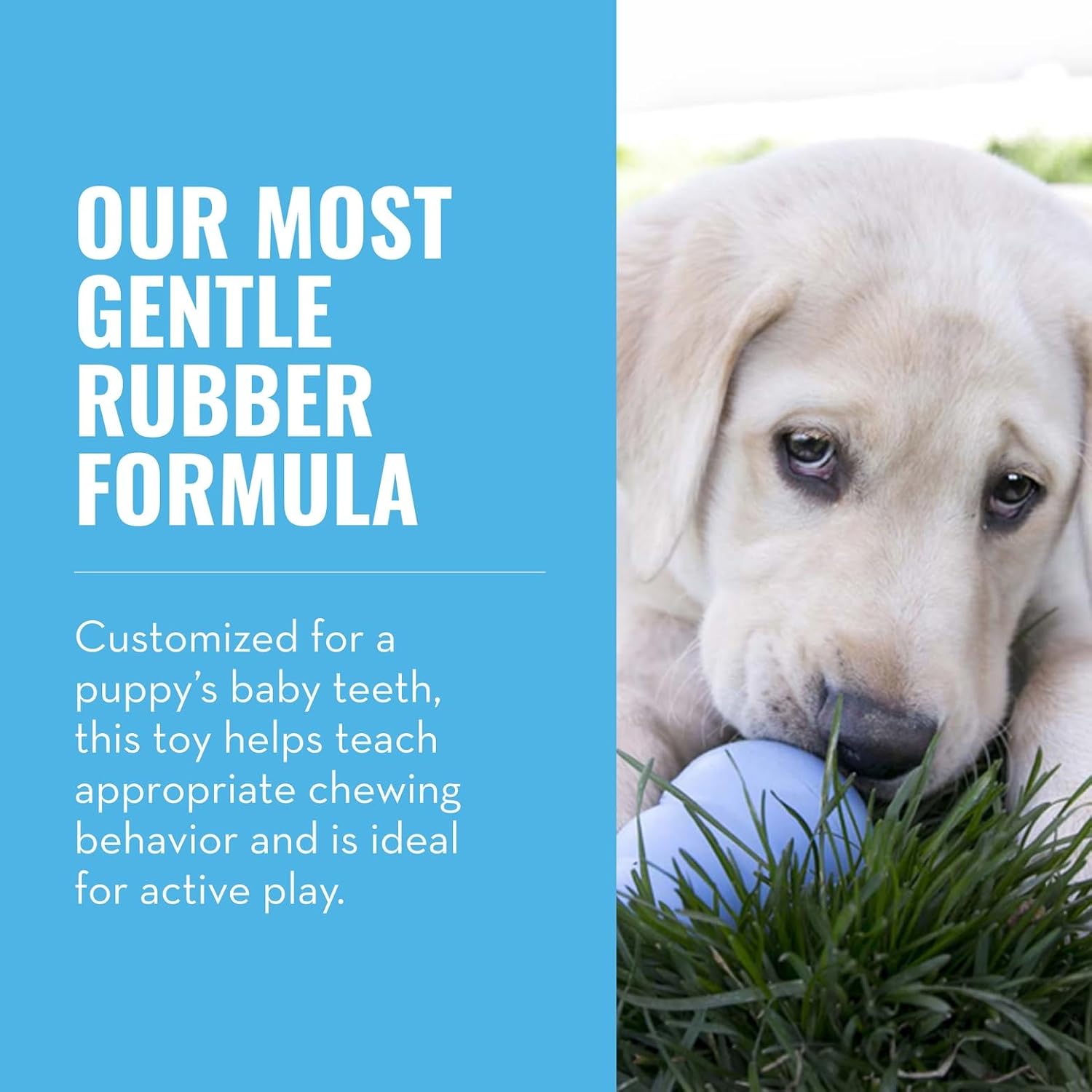 KONG Puppy, Natural Rubber Teething Chew Toy, for XS Puppies, Blue