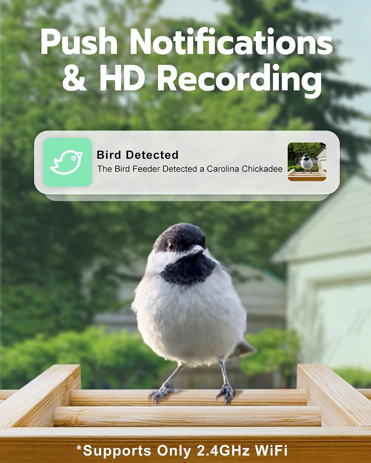 VISIOGEAR Bird Feeder with Camera, Smart Bird Feeder for Outdoors, Wild Birds Feeders with Solar Panel Bamboo Birds House Camera for Birdlovers, AI Auto Capture Birds & Real-time Notification (Gable)