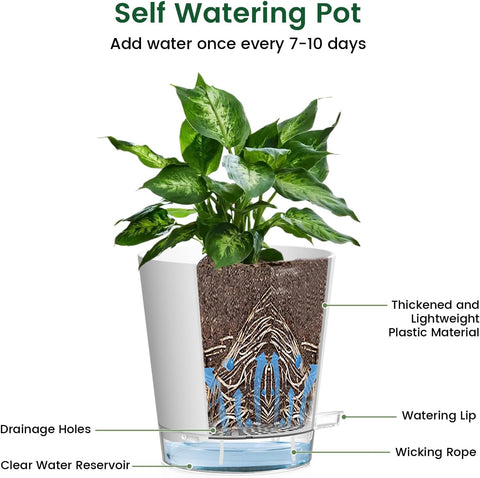 Meowell 7 inch Self Watering Pots for Indoor Plants, 5 Pack Plant Pots with Drainage Holes & Clear Reservoir for Visible Water Level, Plastic Wicking Planter Pots for House Plants and Flower, White