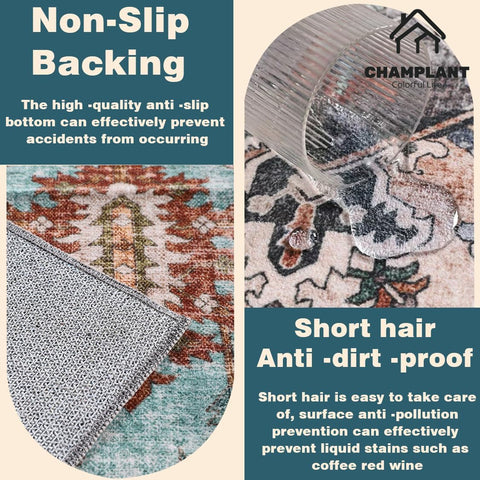 CHAMPLANT 6'x9' Washable Vintage Area Rug Boho Chic Medallion Distressed Design Non-Shedding Easy Care Ideal for High Traffic Areas in Living Room Bedroom Kitchen Office Large Carpet