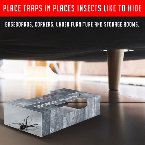 Trap a Pest Indoor Sticky Spider Traps - Glue Traps - 30 Pack
