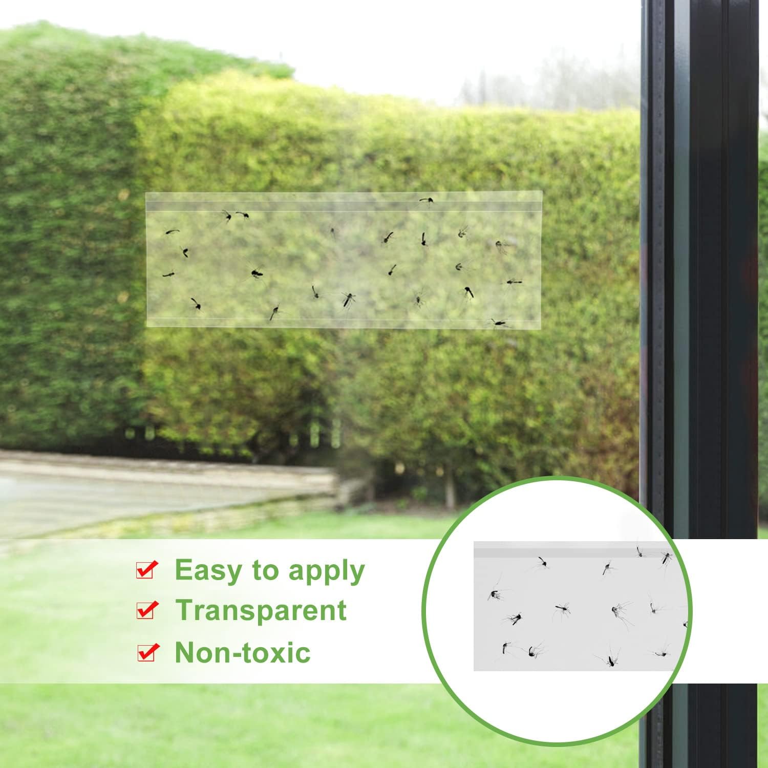 LFSYS 50 Window Fly Traps Indoor Fruit Fly Traps for Indoors
