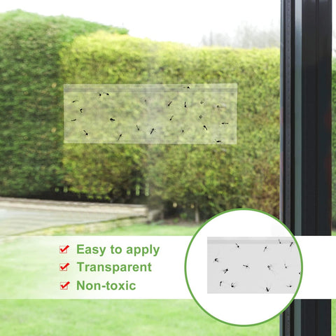 LFSYS 50 Window Fly Traps Indoor Fruit Fly Traps for Indoors