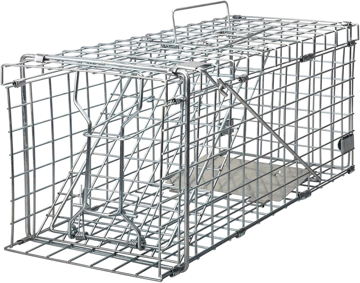 Gingbau Squirrel Trap Foldable Heavy Duty Humane Live Animal Cage Trap (Not for Mouse)