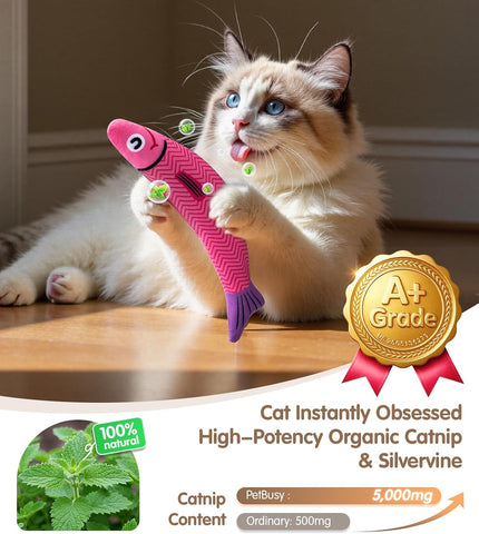 PetBusy Cat Toys with [5000 mg A+Natural Catnip & Silvervine] Kicker Fun