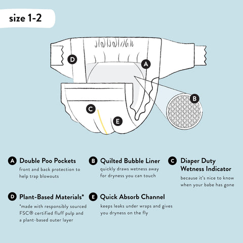 The Honest Company Clean Conscious Diapers | Plant-Based, Sustainable | Young at Heart + Rose Blossom | Super Club Box, Size 2 (12-18 lbs), 124 Count
