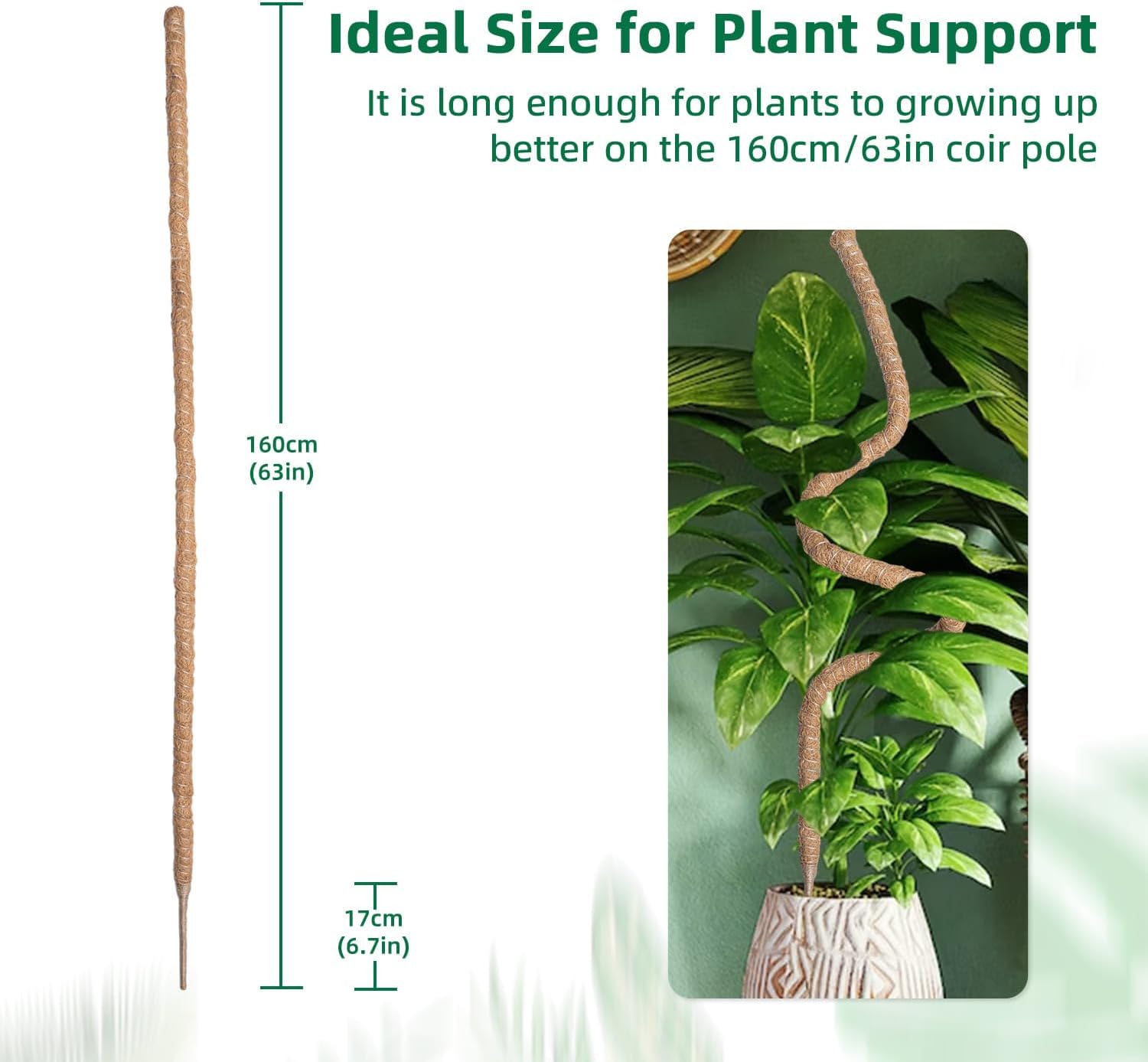 Mcbazel 63 Inch Moss Pole for Plants Monstera, Monstera Plant Support Stick, Bendable Moss Poles Plant Support Stick for Climbing Plants, Stick Support Stake Kit for Potted Plants, Pothos,Philodendron