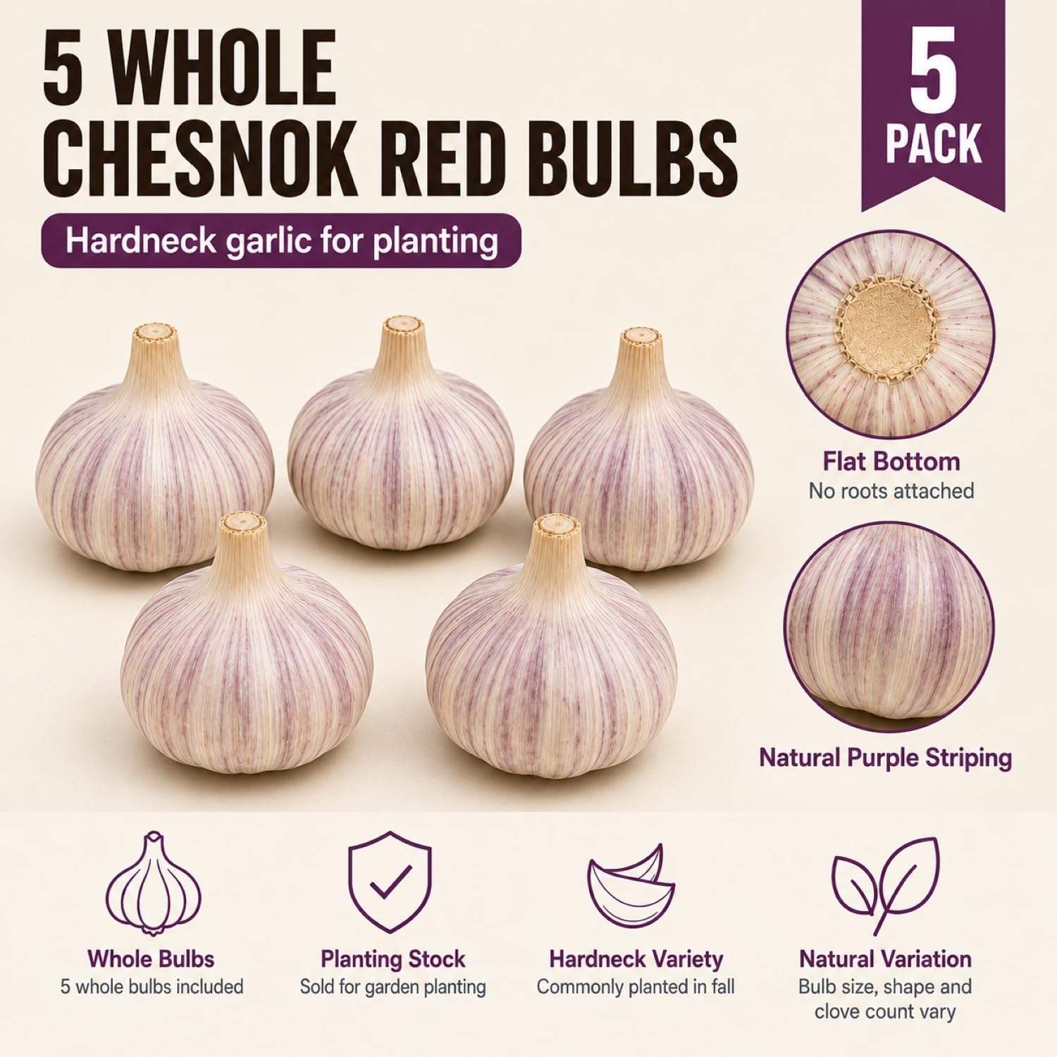 5 Pack Chesnok Red Garlic Bulbs for Planting Large Hardneck Garlic Cloves Garlic Seeds for Planting Cold Climate Ready Garlic Bulbs for Planting Home Garden Raised Beds Fall or Spring