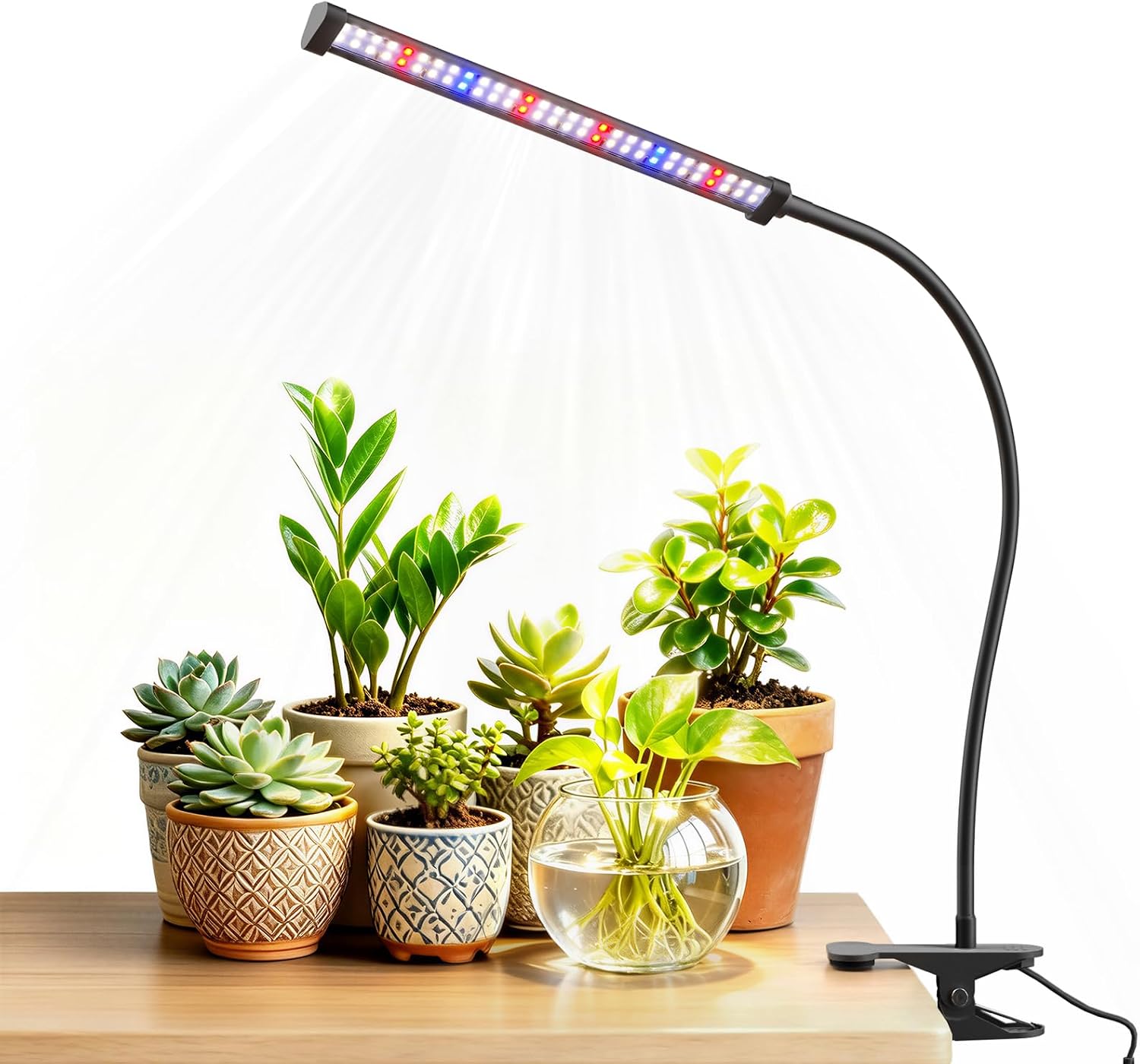 Grow Lights for Indoor Plants, Clip-On LED Clamp, Single Head