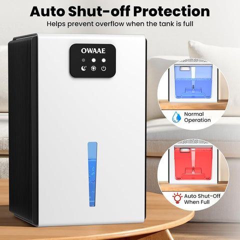 Dehumidifier for Home with Auto Shutoff Sleep Mode, 1000 Sq Ft