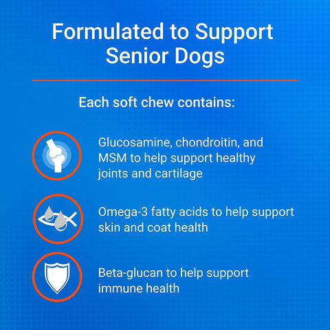 Nutramax Cosequin Dog Joint Supplement for Senior Dogs, Soft Chews, 120ct