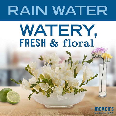 MRS. MEYER'S CLEAN DAY Laundry Detergent, Rain Water, 64 fl oz, 2 Pack | Brightens Colors, Removes Tough Stains, Up to 64 Loads a Bottle, Made with Essential Oils and Stain-Fighting Enzymes