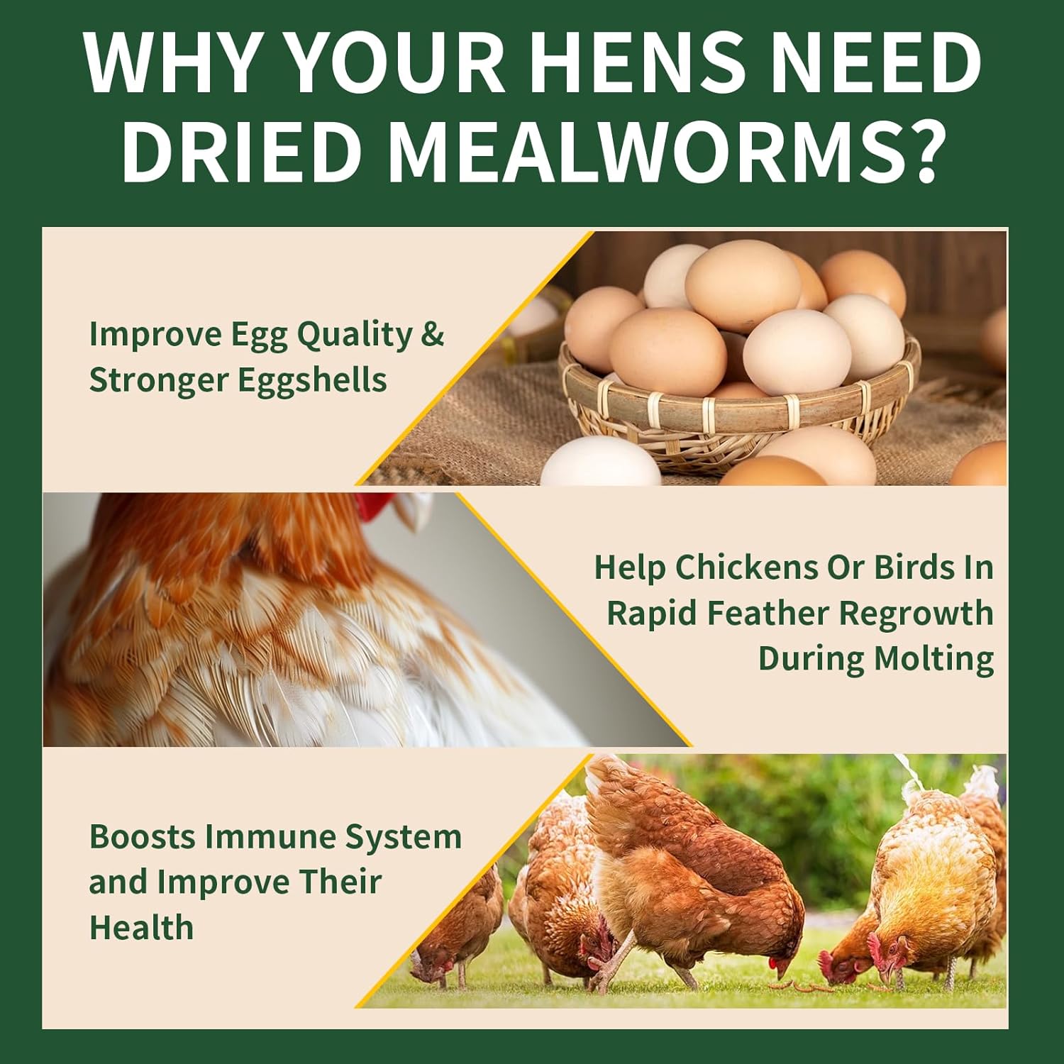 BUNTIE WORMS 10LB Dried Mealworms for Wild Birds and Chicken