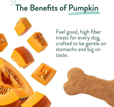 Portland Pet Food Pumpkin Dog Treats, Healthy, Grain-Free Biscuits 3 Pack