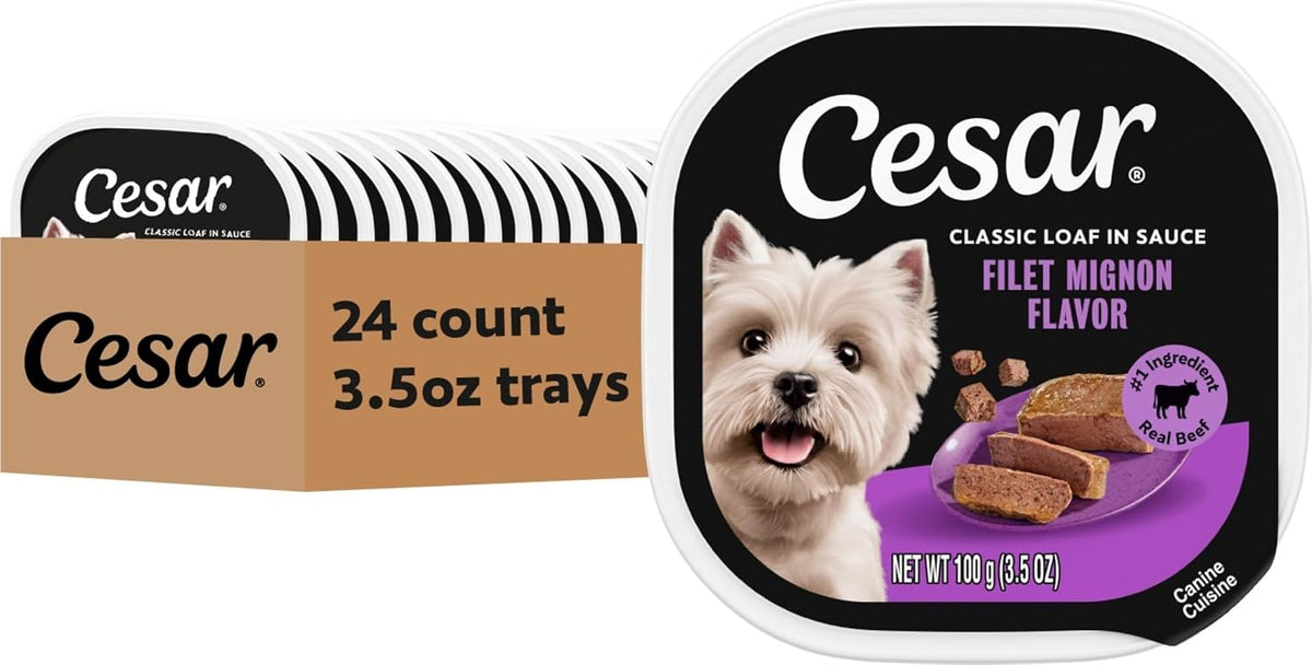 Cesar Classic Loaf in Sauce Wet Dog Food, Filet Mignon, 3.5 oz, 24 Count