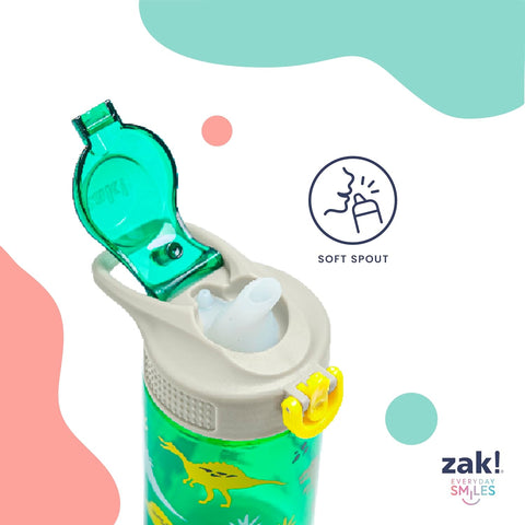 Zak Designs Sesame Street Sage 16oz Leak-Proof Straw Kids Water Bottle