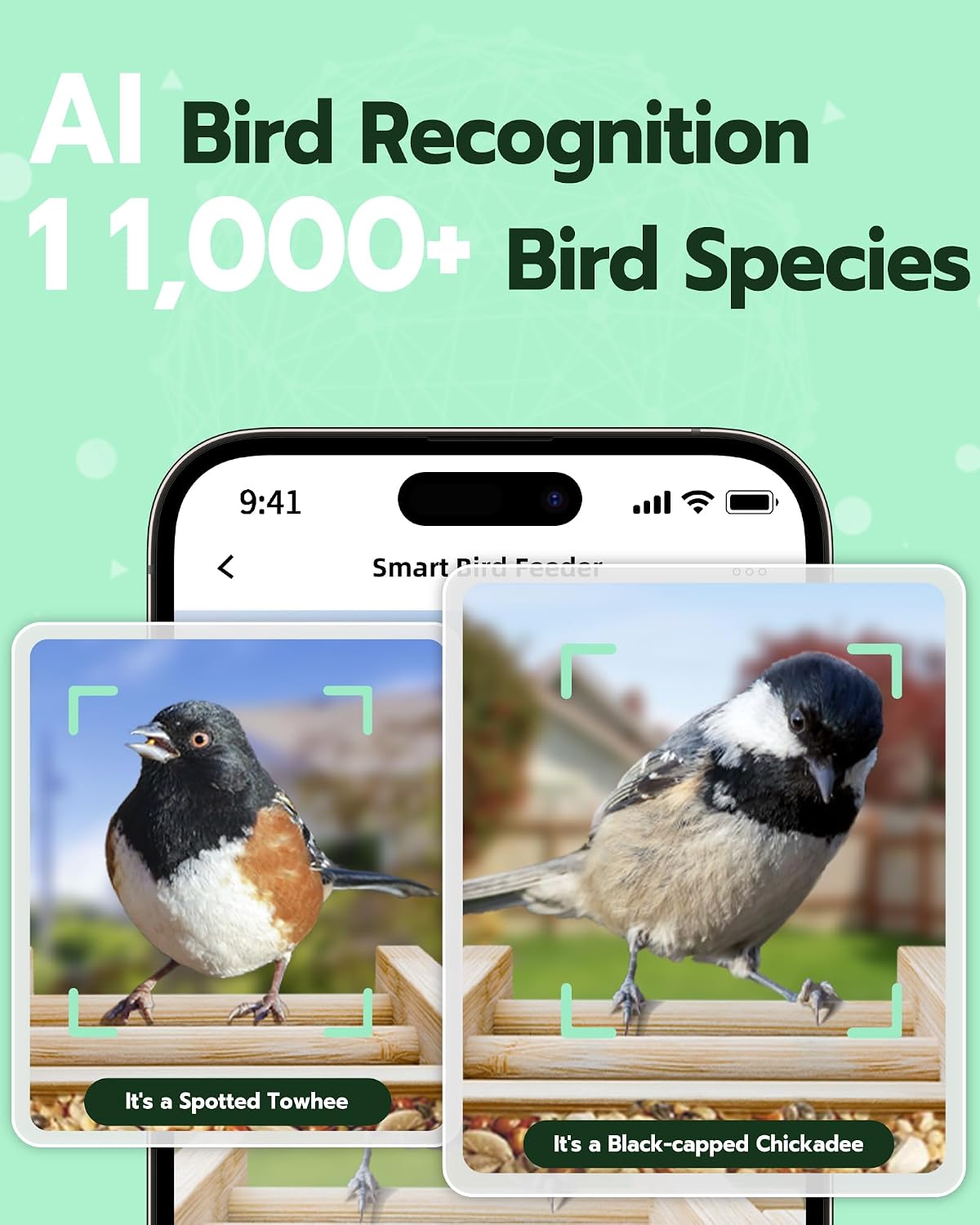 VISIOGEAR Bird Feeder with Camera, Smart Bird Feeder for Outdoors, Wild Birds Feeders with Solar Panel Bamboo Birds House Camera for Birdlovers, AI Auto Capture Birds & Real-time Notification (Gable)