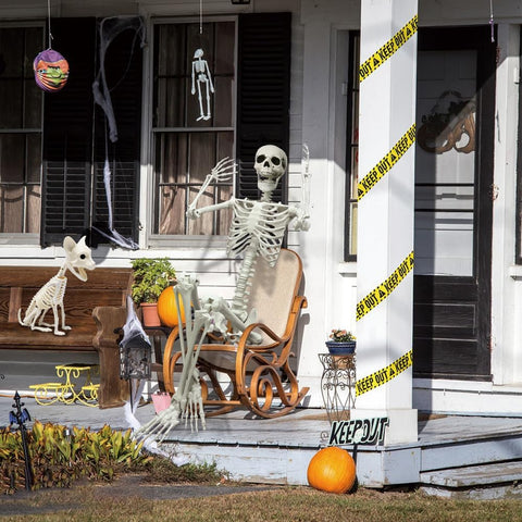 5.9Ft Halloween Life Size Skeleton with Cat for Halloween Party Decor