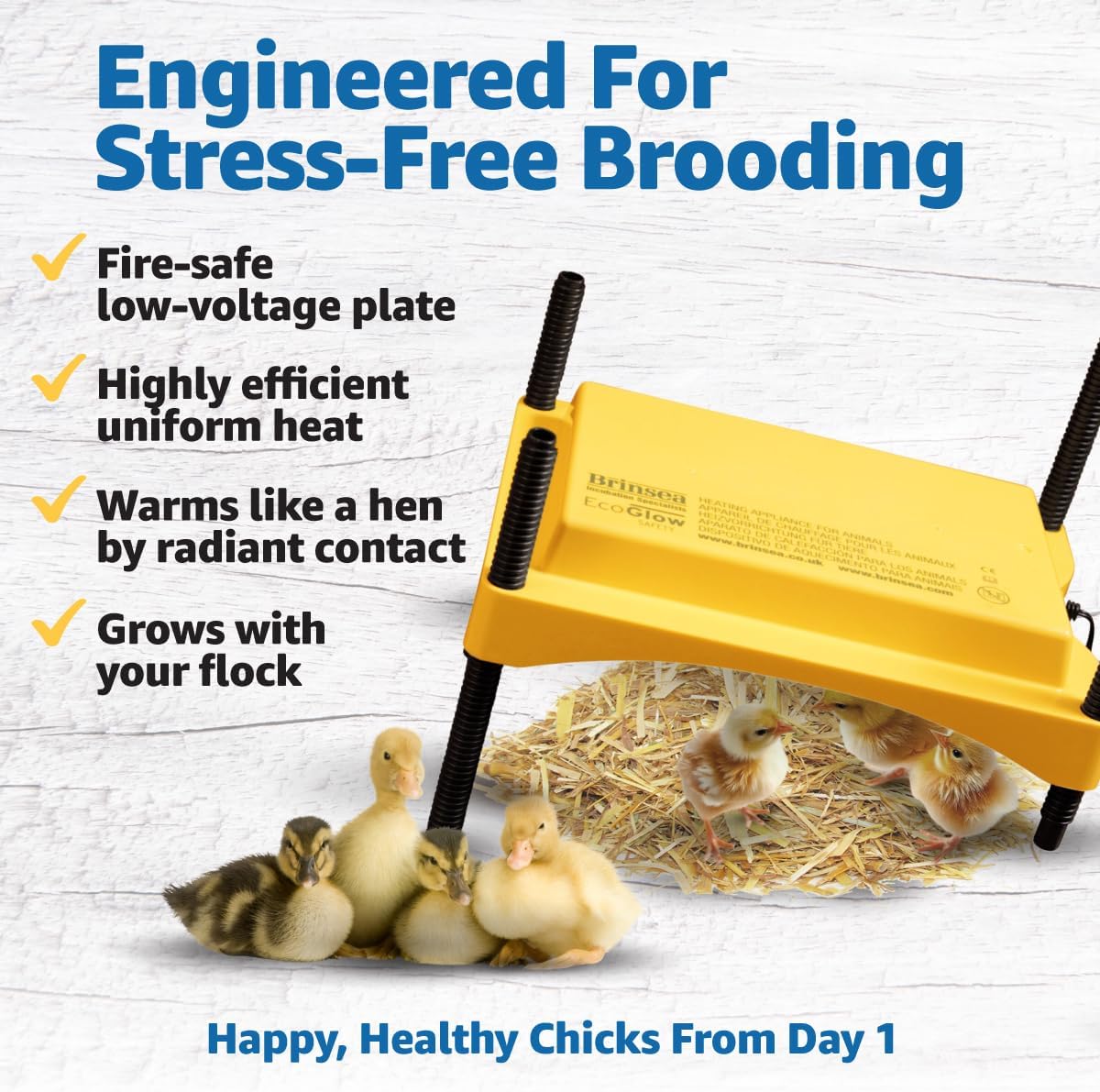 Brinsea Ecoglow Safety 600 Chick or Duckling Brooder, Up to 20 Chicks