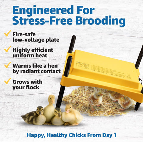 Brinsea Ecoglow Safety 600 Chick or Duckling Brooder, Up to 20 Chicks