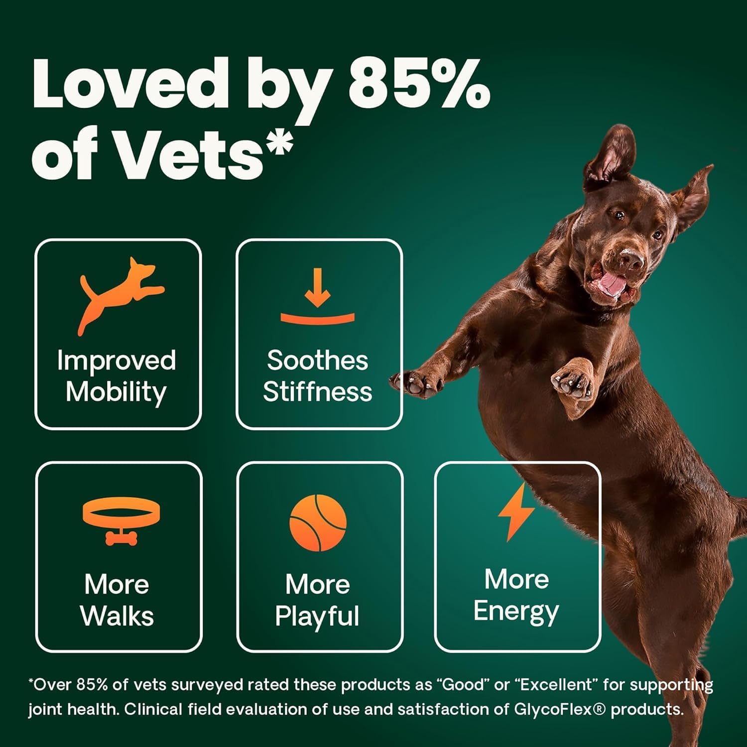 VetriScience Extra Strength Healthy Hip and Joint Tablets for Dogs, 2 Pack