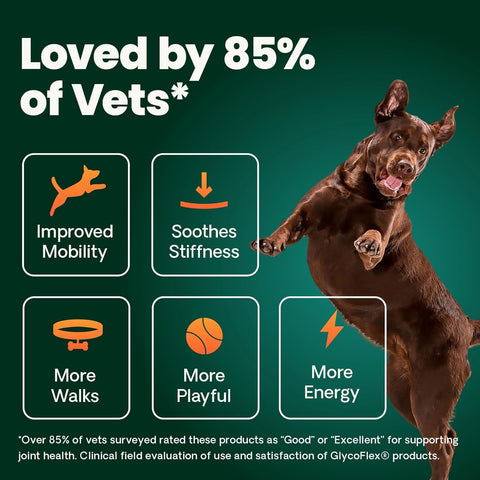 VetriScience Extra Strength Healthy Hip and Joint Tablets for Dogs, 2 Pack