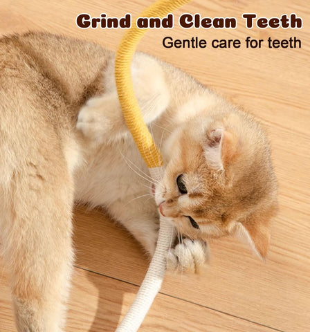Cat Chew Ropes 4Pcs, Safe Cat Chew Toys for Indoor Cats with Catnip