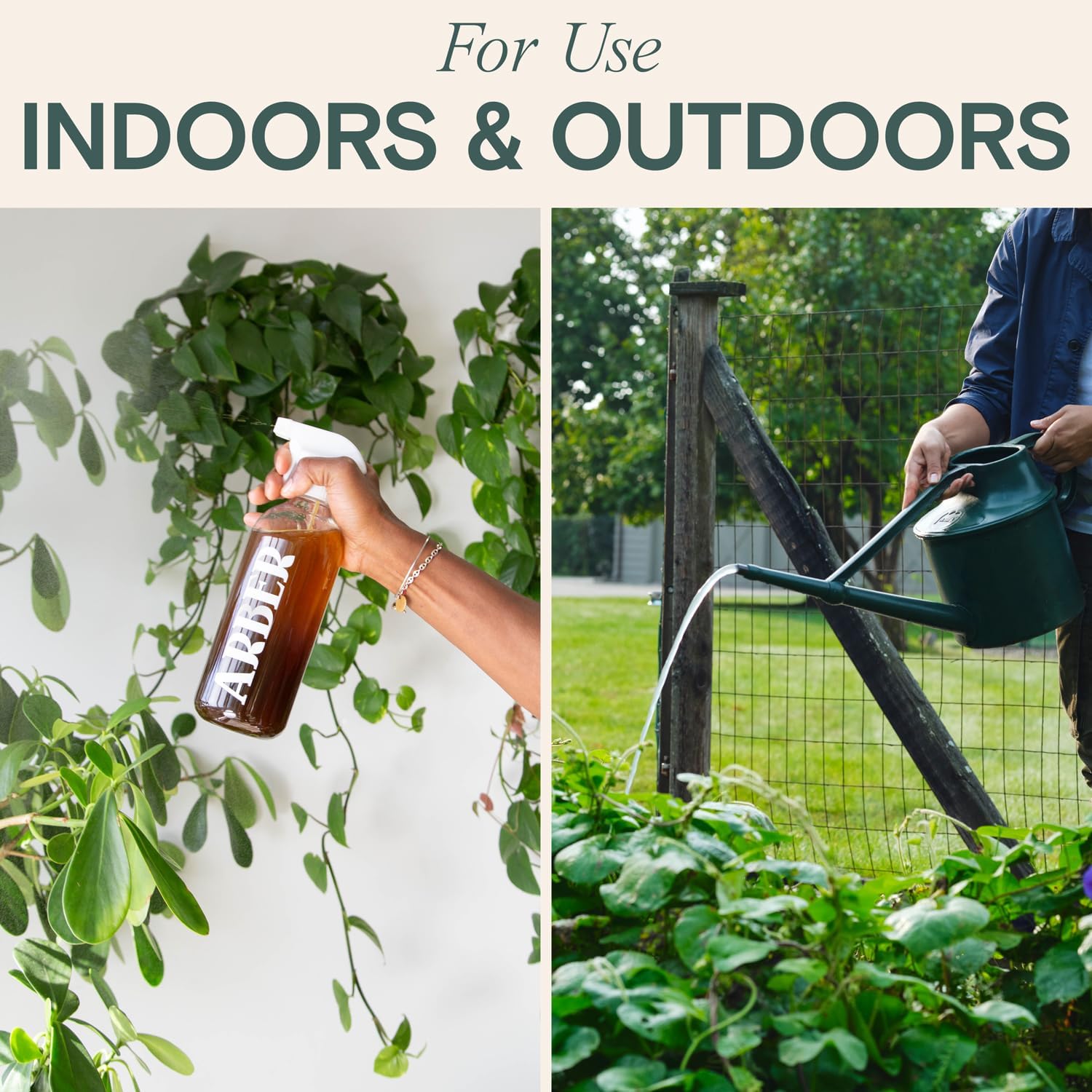 Arber Organic Insecticide & Fungicide for Plants - Indoor/Outdoor, 16oz