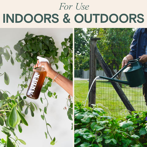 Arber Organic Insecticide & Fungicide for Plants - Indoor/Outdoor, 16oz