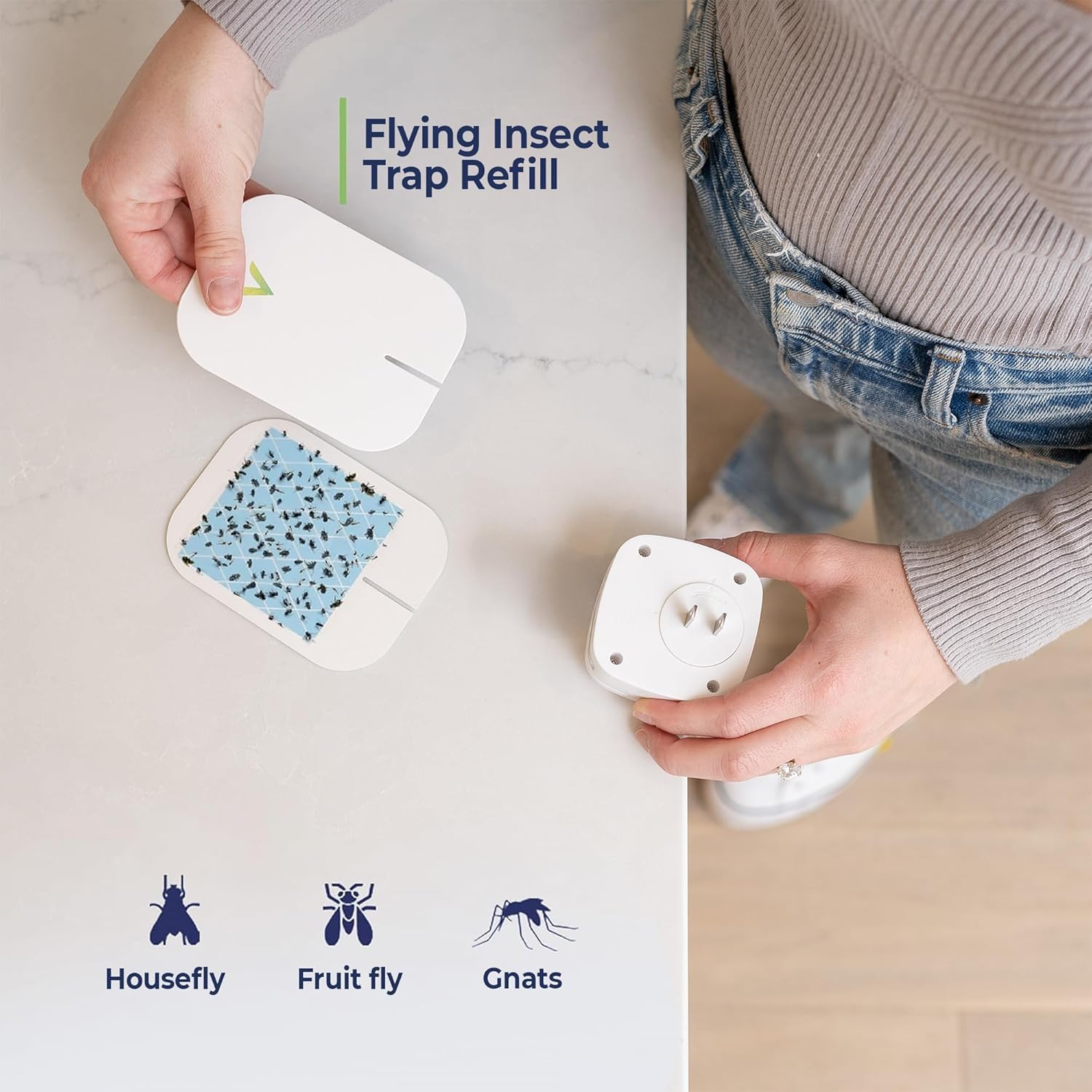 VEYOFLY Official Refill Fruit Fly Traps Indoor, Gnat Trap | 10-Pack
