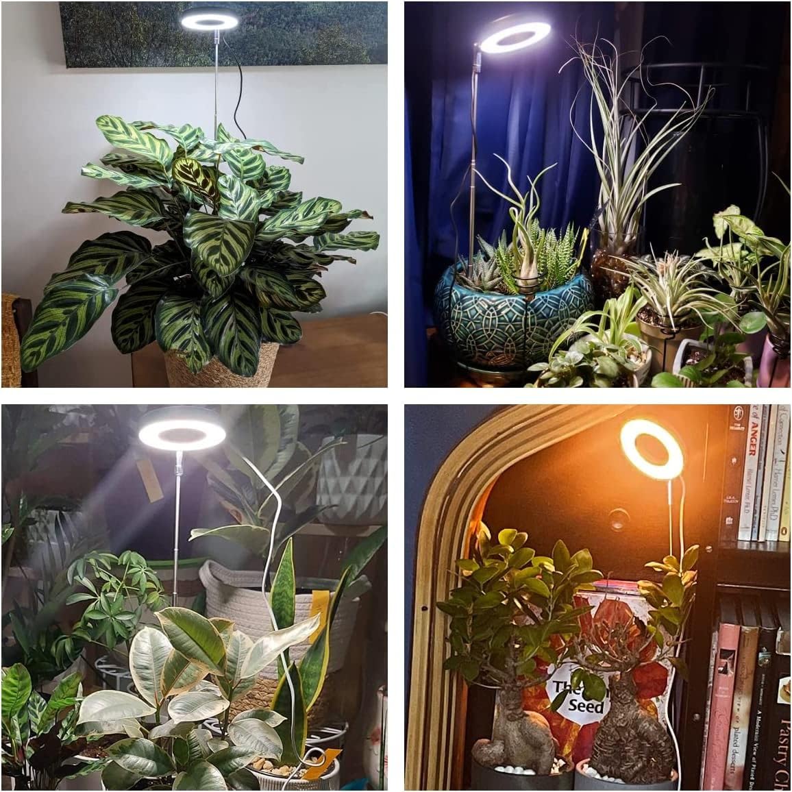 Aokrean Plant Grow Light for Indoor Plants, 3.5in Full Spectrum with Base
