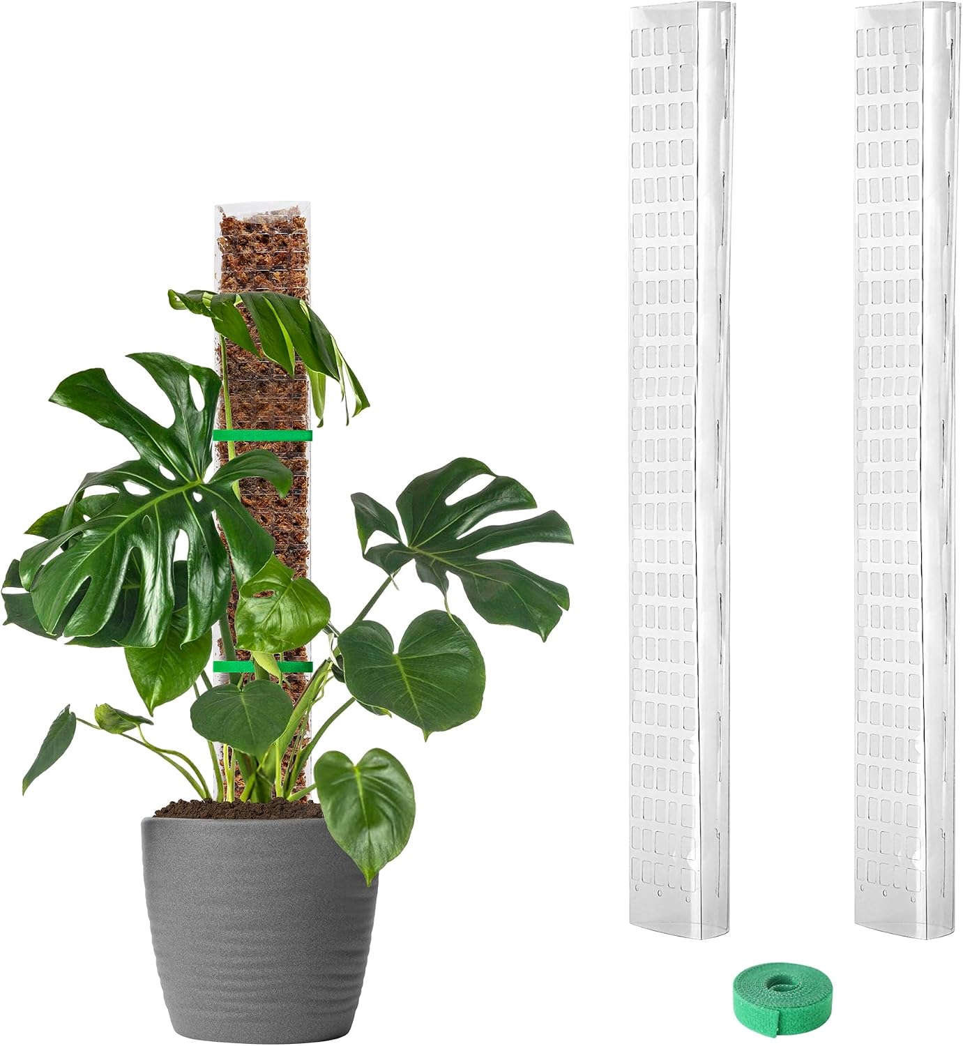 EOX Plastic Moss Pole for Monstera and Climbing Plants, 24-Inch, 2-Pack