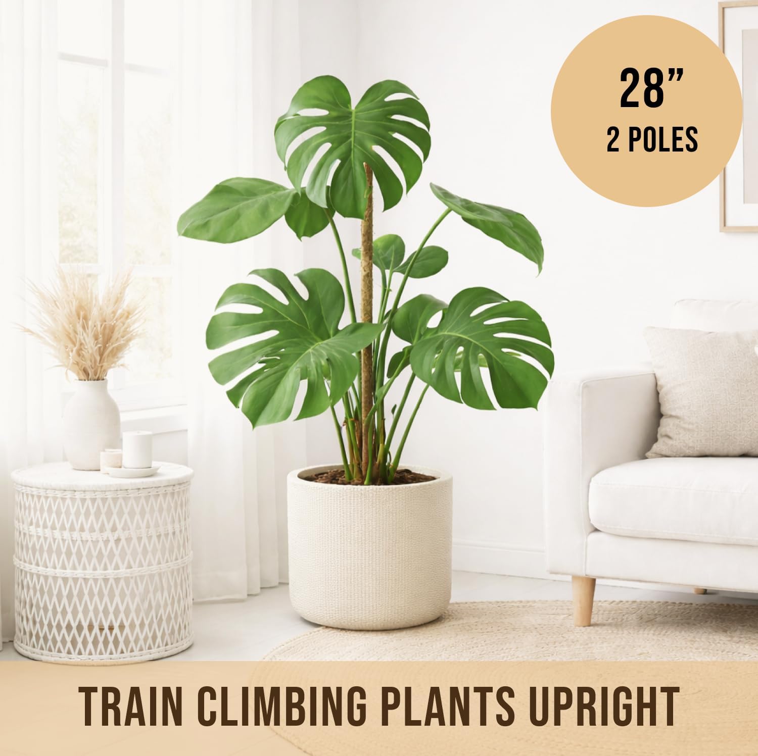 Craft911 29" Moss Pole Monstera Plant Support, Indoor Plant Stakes