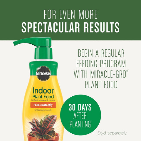 Miracle-Gro Houseplant Potting Mix, 4 qt.