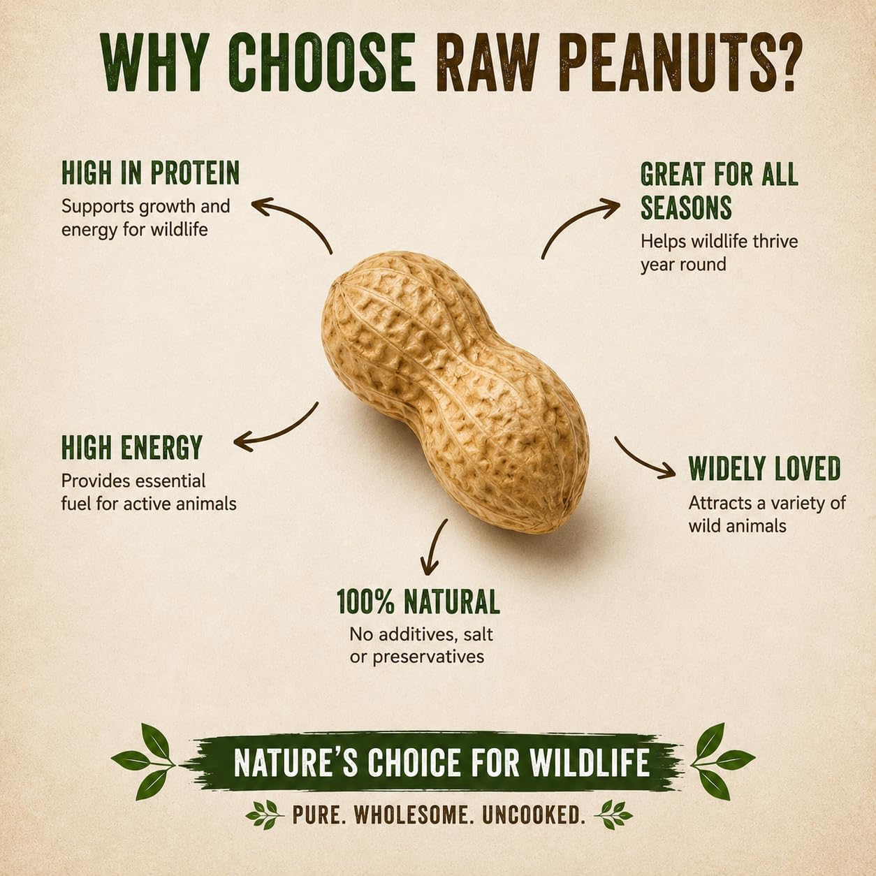 Office Roast Raw Peanuts in Shell 2 lb Bag – Unsalted, Natural & Healthy Snack – Plain Peanuts for Squirrels, Birds & Wildlife Feed