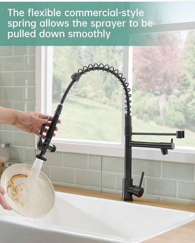 Fapully Commercial Kitchen Sink Faucet with Sprayer Oil Rubber Bronze