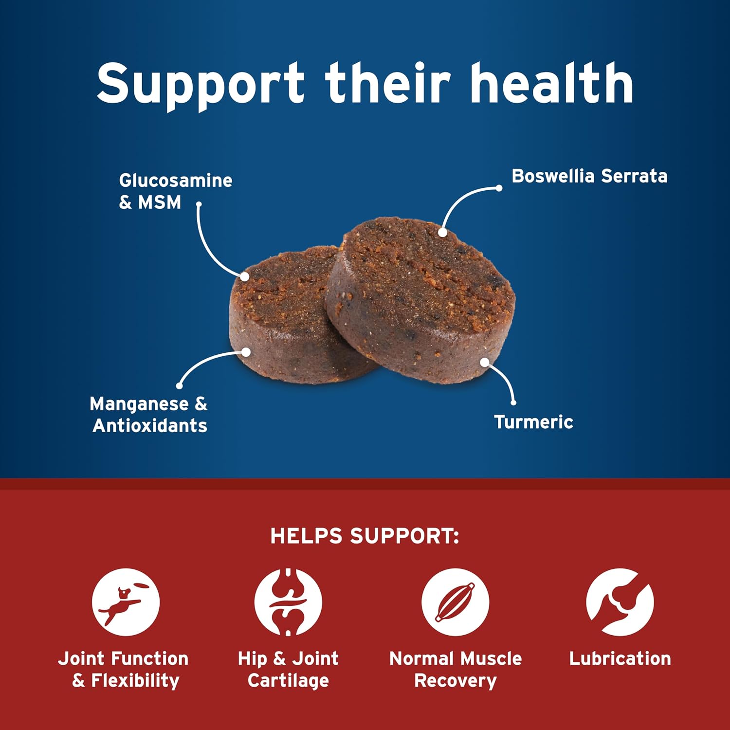 Pet Protect Hip & Joint+ Supplement for Dogs, Chicken Flavor 240ct