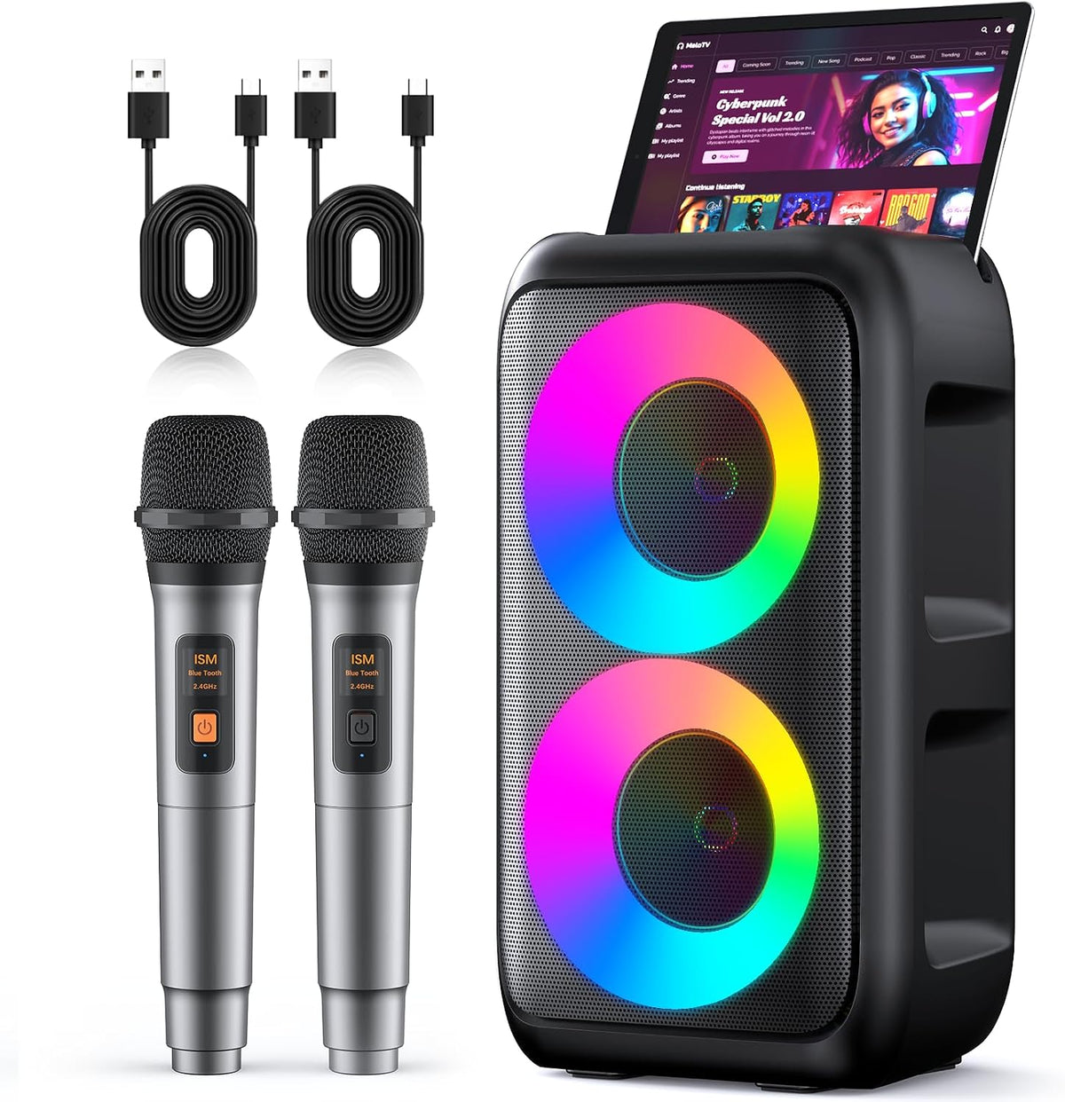 Karaoke Machine, Bluetooth Speaker with 2 Wireless Microphones Adults Kids