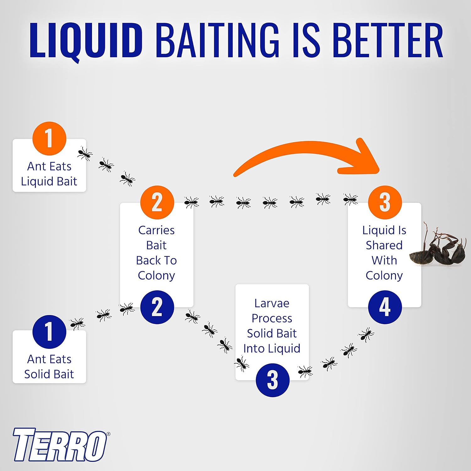 TERRO Liquid Ant Killer 3-Pack Indoor Ant Baits with Borax - Kills Common Household Ants Including Ghost, Sugar, and Black Ants - Fast-Acting Pest Control, T200-3SR