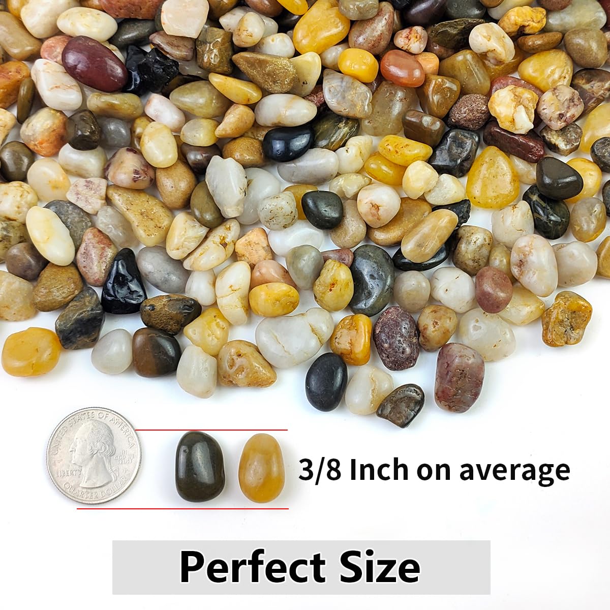 YISZM 5LB Succulent and Cactus Gravel Pebbles, 3/8 Inch Natural Stones