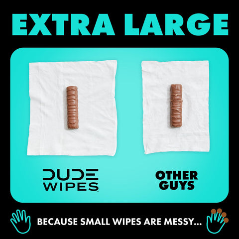 DUDE Wipes - Flushable Wipes - 6 Pack, 288 Wipes - Mint Chill Extra-Large Adult Wet Wipes - Vitamin-E, Aloe, Eucalyptus & Tea Tree Oils - Septic and Sewer Safe