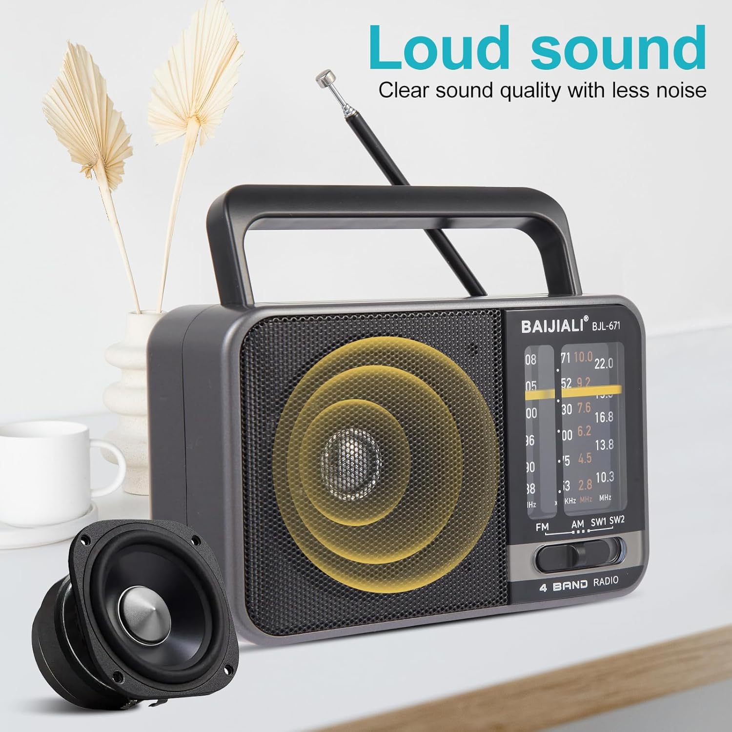Portable AM/FM Transistor Radio with Loud Speaker, Battery or USB Powered
