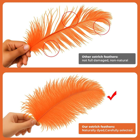 Piokio 20 pcs Orange Ostrich Feathers Plumes 8-10 inch(20-25 cm) Bulk for DIY Handmade Artwork and DIY Clothes, Feather Pens, Dream Catcher, Table Decoration.