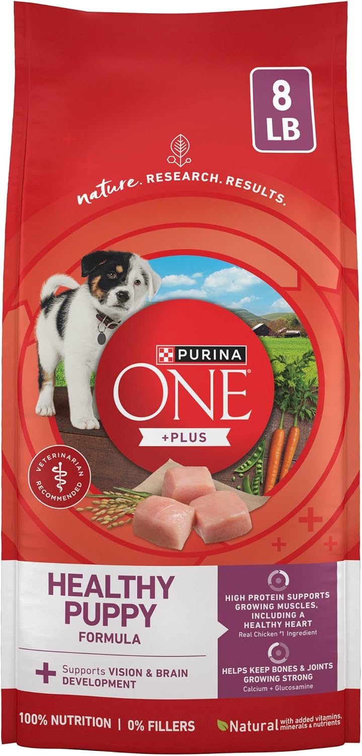 Purina ONE Plus Healthy Puppy Dry Food, Chicken, 8 lb Bag