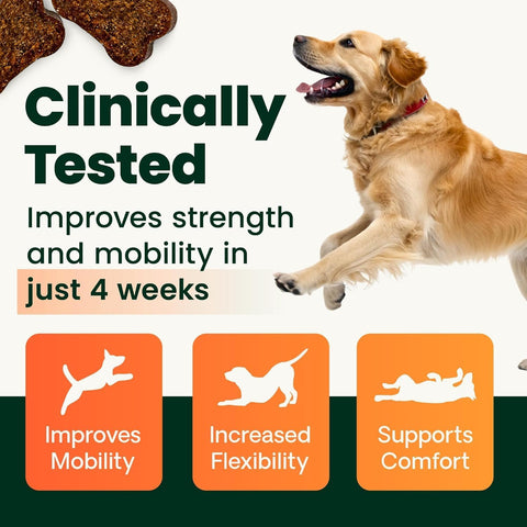 VetriScience Extra Strength Healthy Hip and Joint Tablets for Dogs, 2 Pack