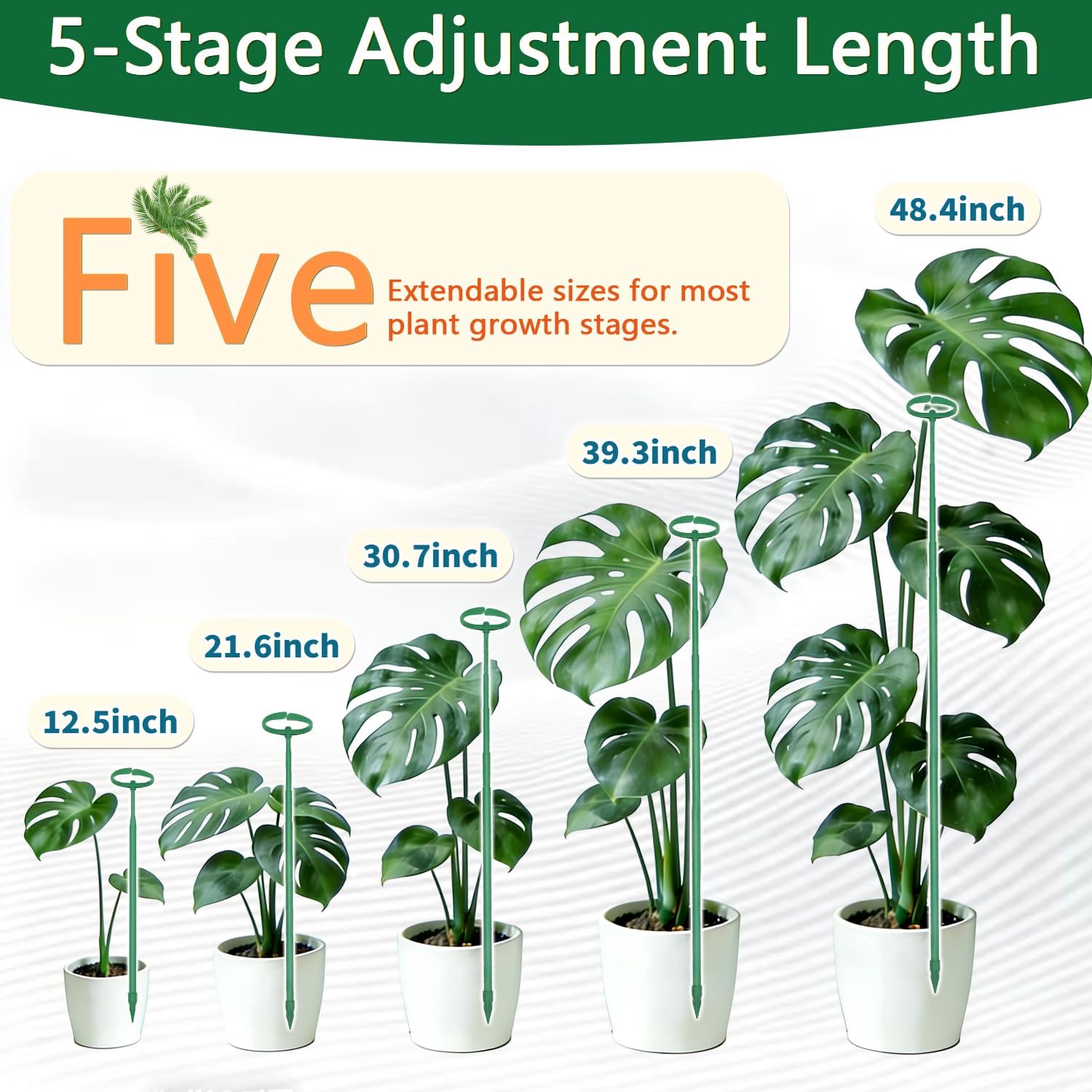 Telescoping Monstera Plant Stakes, 12.5-48.4IN Indoor Plant Support- 3Pack