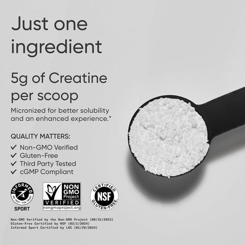 Sports Research® Creatine Monohydrate Powder 5g, Unflavored (100 Servings)